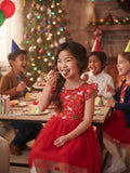 REAL Kids Brand Unicorn & Holiday Print Tulle Dress – Size 11-12 Years