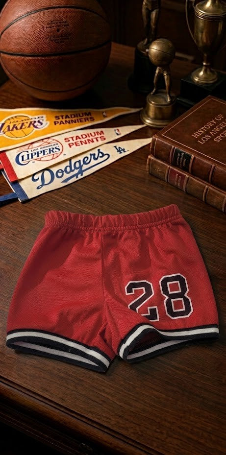 Twin Boys’ Matching "Los Angeles 28" Basketball Jersey & Shorts Set