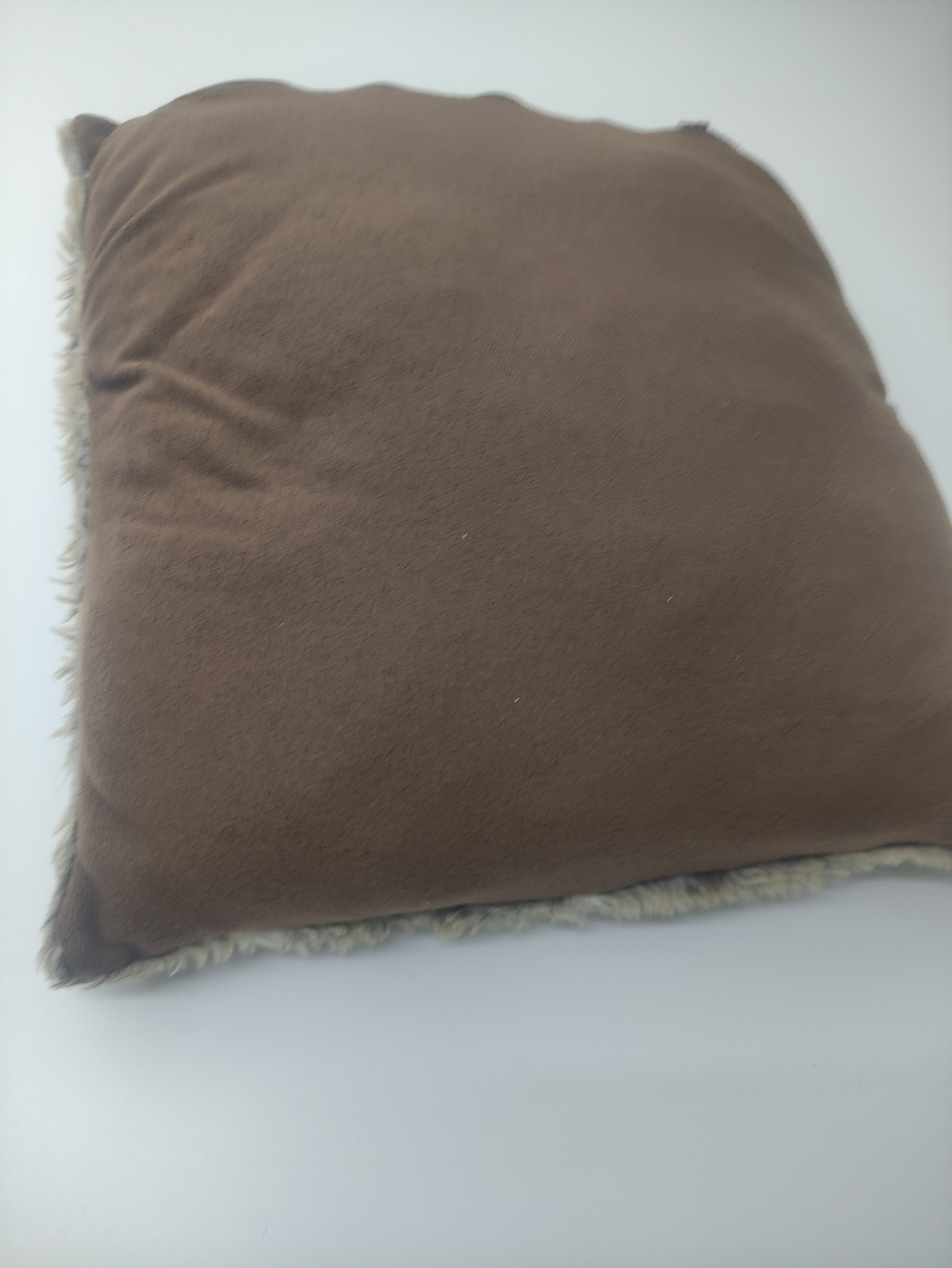Scatter Pillow (set of 2)